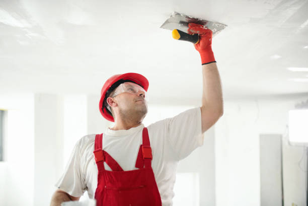 Wallpaper Removal and Painting in San Carlos, TX